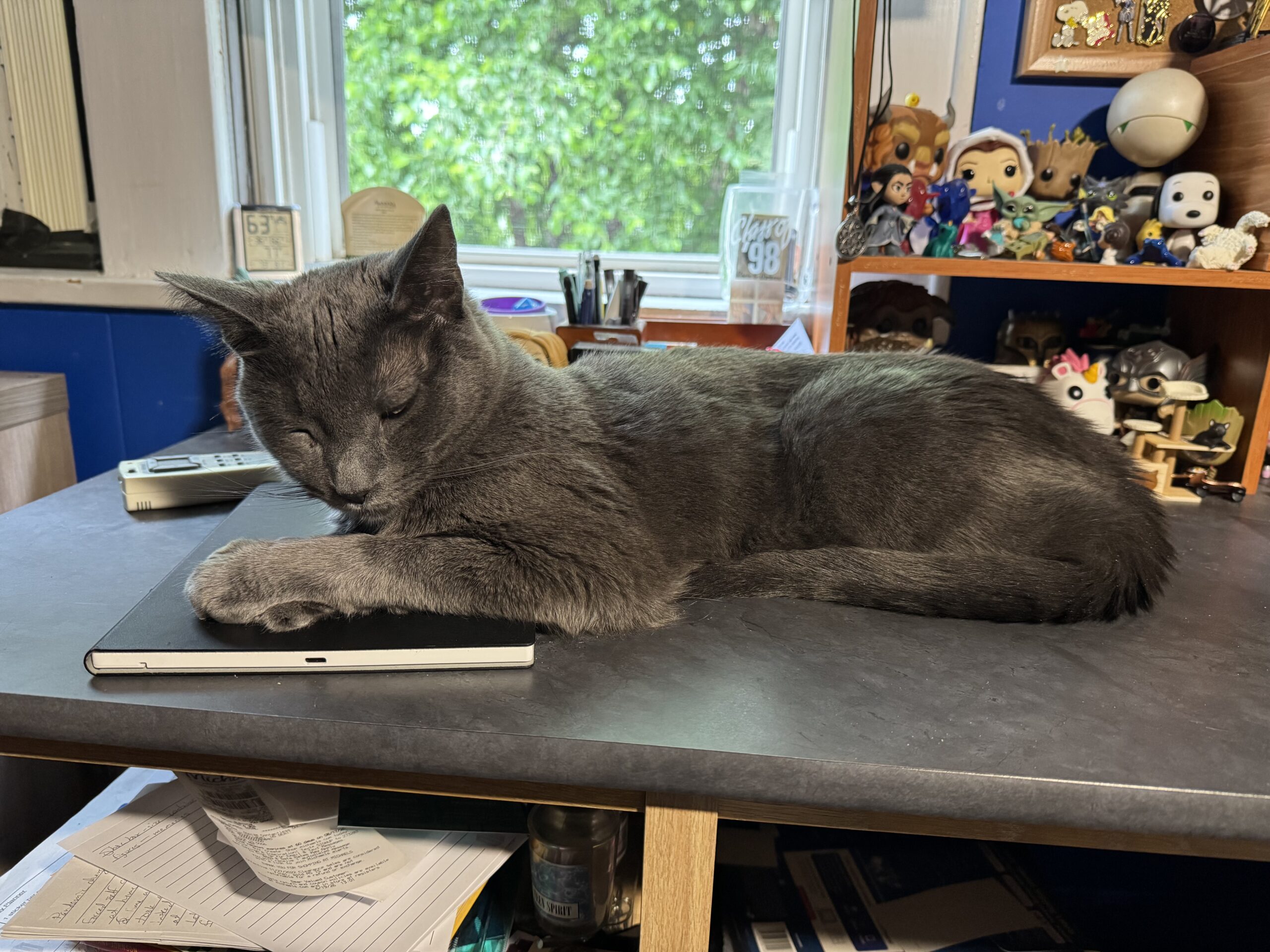 A gray cat lays on a desk, half on the cover of an electronic notebook.